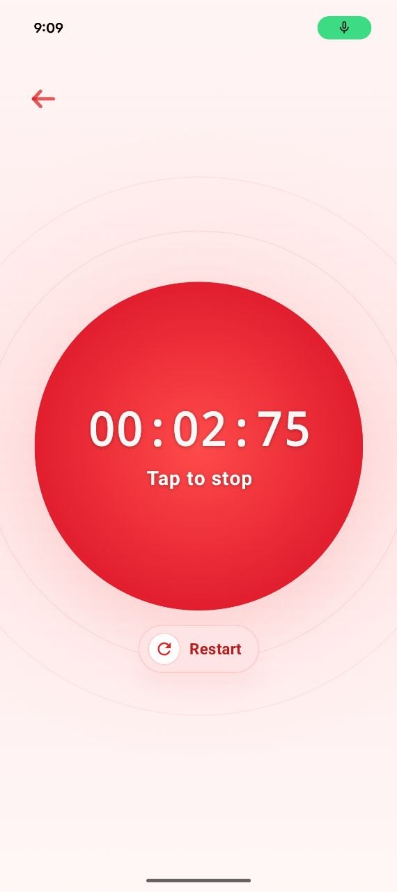 Recording flow with timer and restart control.